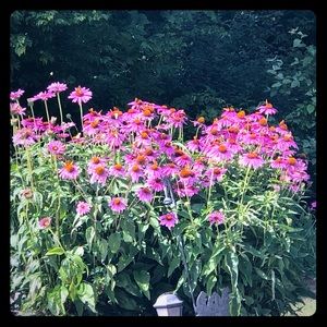 Meet your Posher, Becca